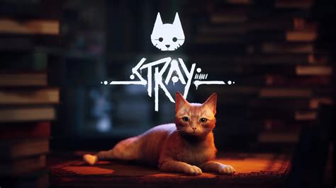 stray cat game|Stray (video game) .